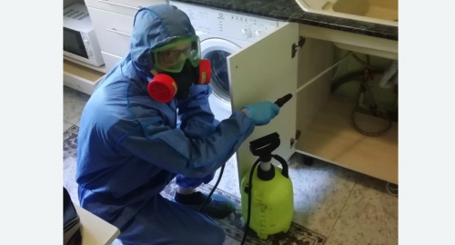 Уничтожение муравьев в квартире. Суворов