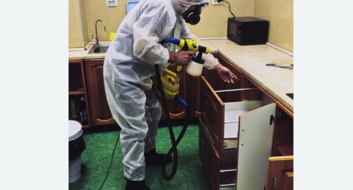 Дезинсекция квартиры. Суворов