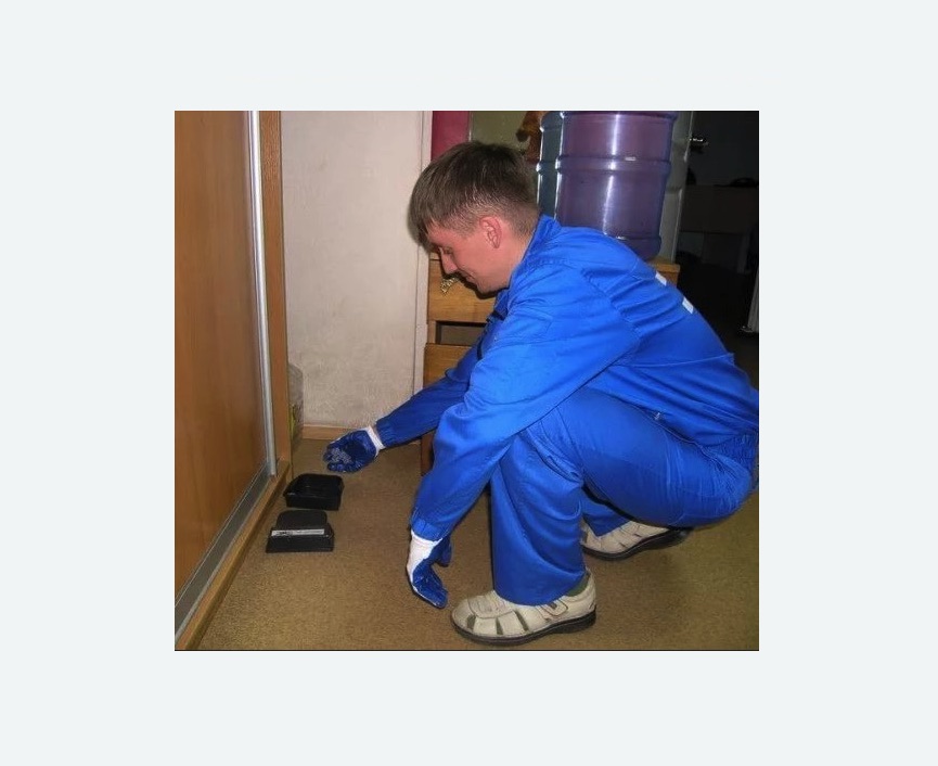 Дератизация крыс в Суворове