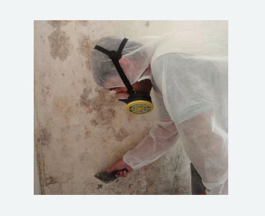 Обработка стен от плесени в Суворове