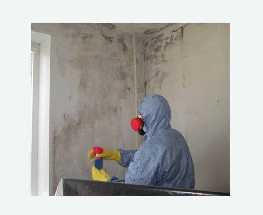 Удаление плесени в квартире в Суворове