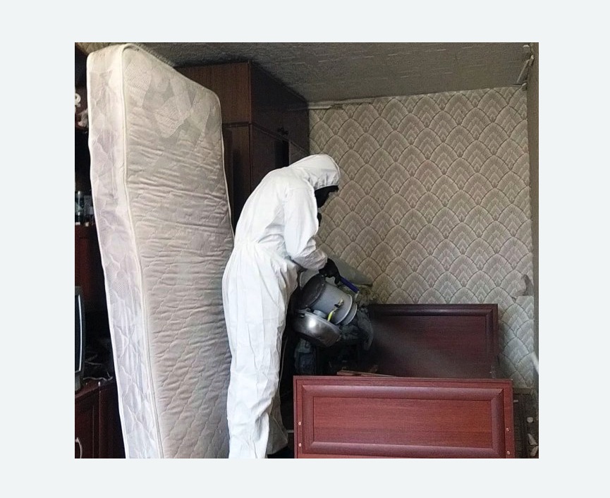 дезинфекция от клопов в Суворове