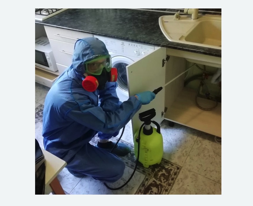 обработка от муравьев в квартире в Суворове