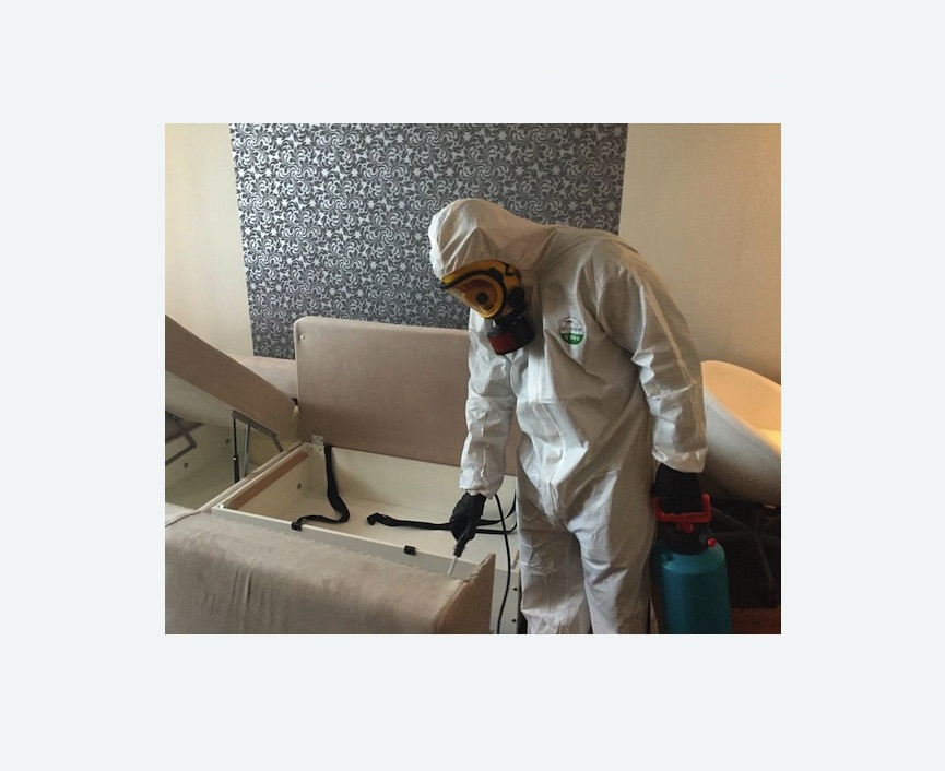 уничтожение клопов в квартире в Суворове