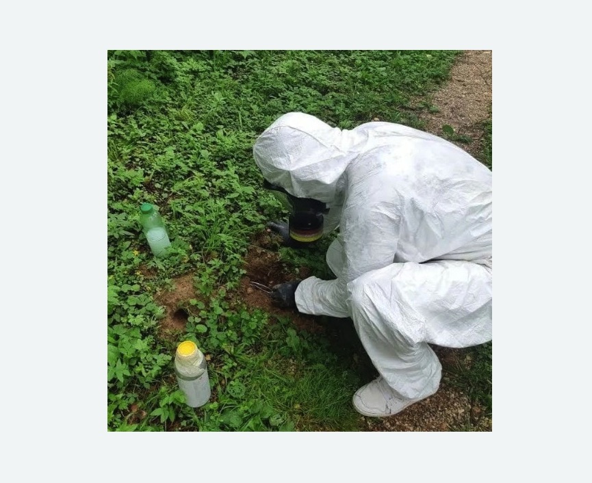 уничтожение кротов на участке в Суворове