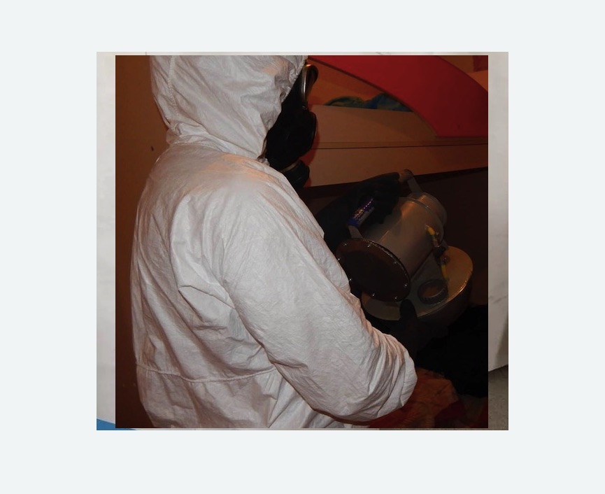 Дезинфекция от муравьев в Суворове