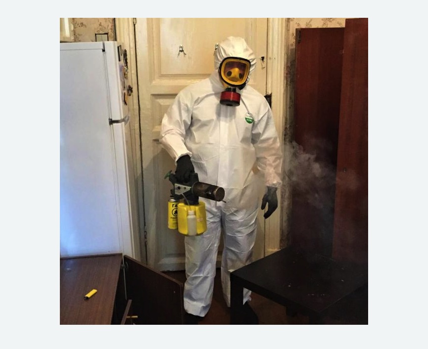 уничтожение муравьев в квартире в Суворове